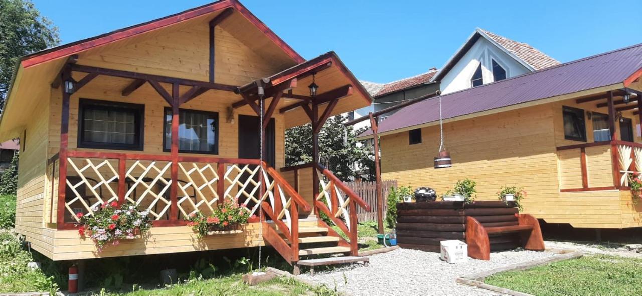 Baltina Parc Transfagarasan Vila Curtea de Argeş Exterior foto
