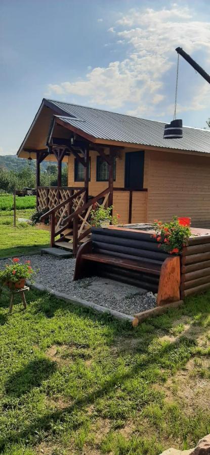 Baltina Parc Transfagarasan Vila Curtea de Argeş Exterior foto