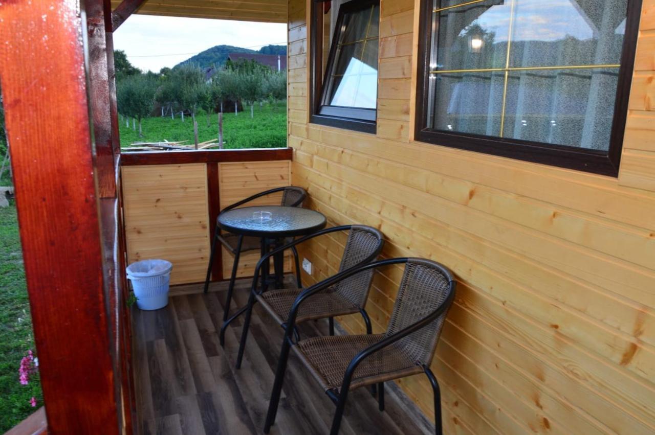 Baltina Parc Transfagarasan Vila Curtea de Argeş Exterior foto