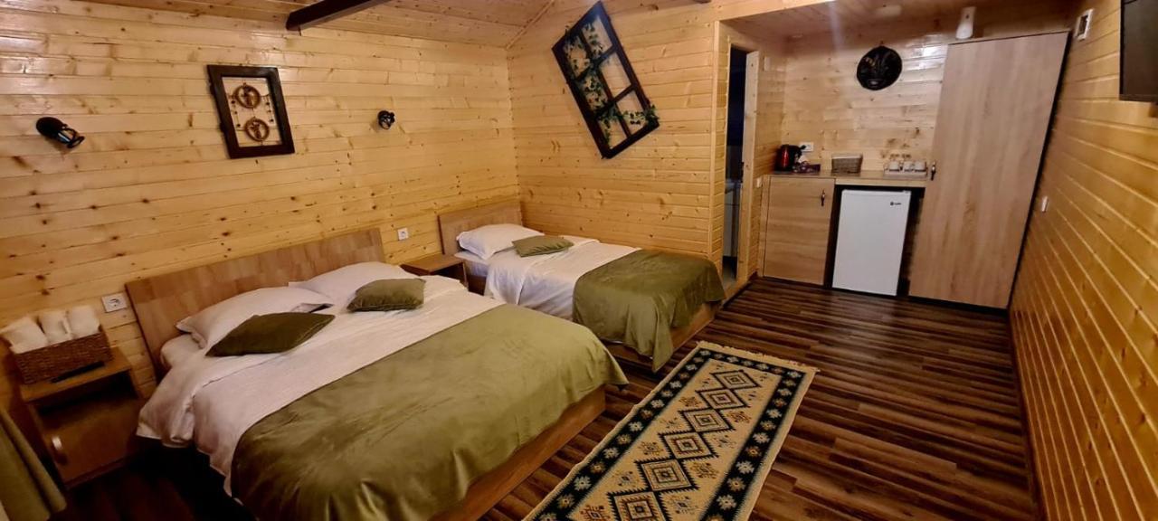 Baltina Parc Transfagarasan Vila Curtea de Argeş Exterior foto