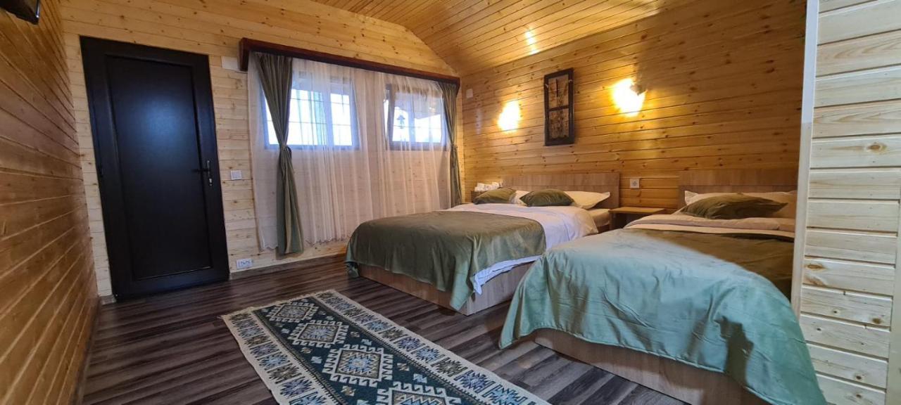 Baltina Parc Transfagarasan Vila Curtea de Argeş Exterior foto