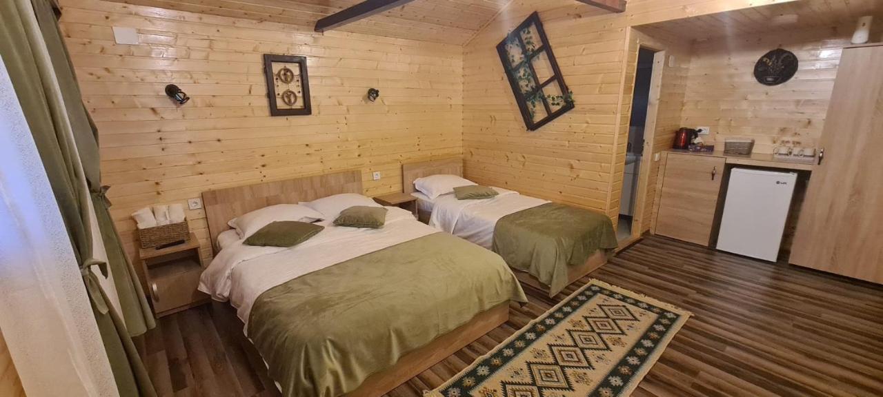 Baltina Parc Transfagarasan Vila Curtea de Argeş Exterior foto