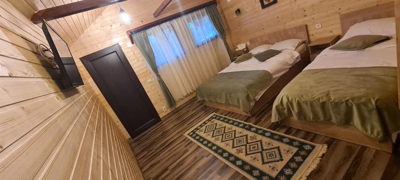 Baltina Parc Transfagarasan Vila Curtea de Argeş Exterior foto