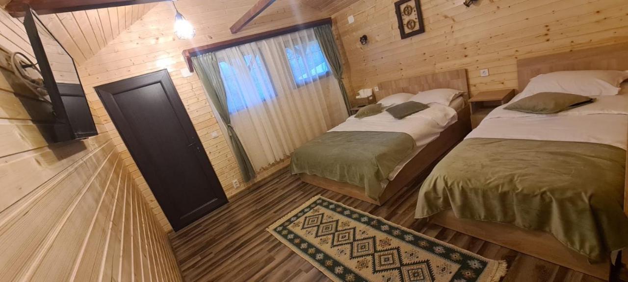 Baltina Parc Transfagarasan Vila Curtea de Argeş Exterior foto