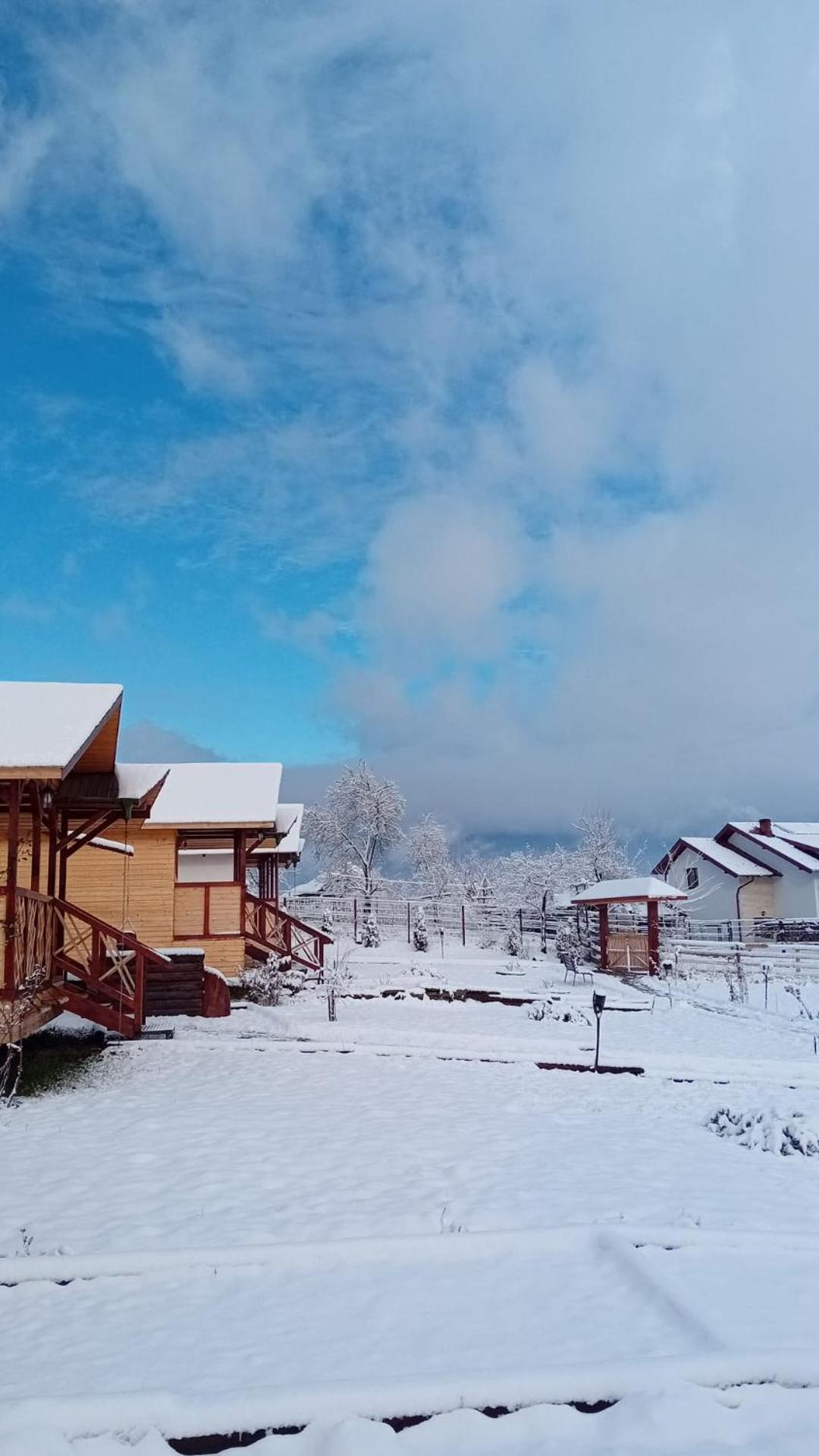 Baltina Parc Transfagarasan Vila Curtea de Argeş Exterior foto