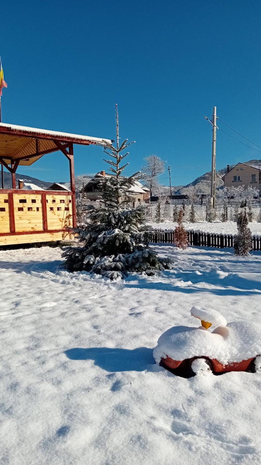 Baltina Parc Transfagarasan Vila Curtea de Argeş Exterior foto