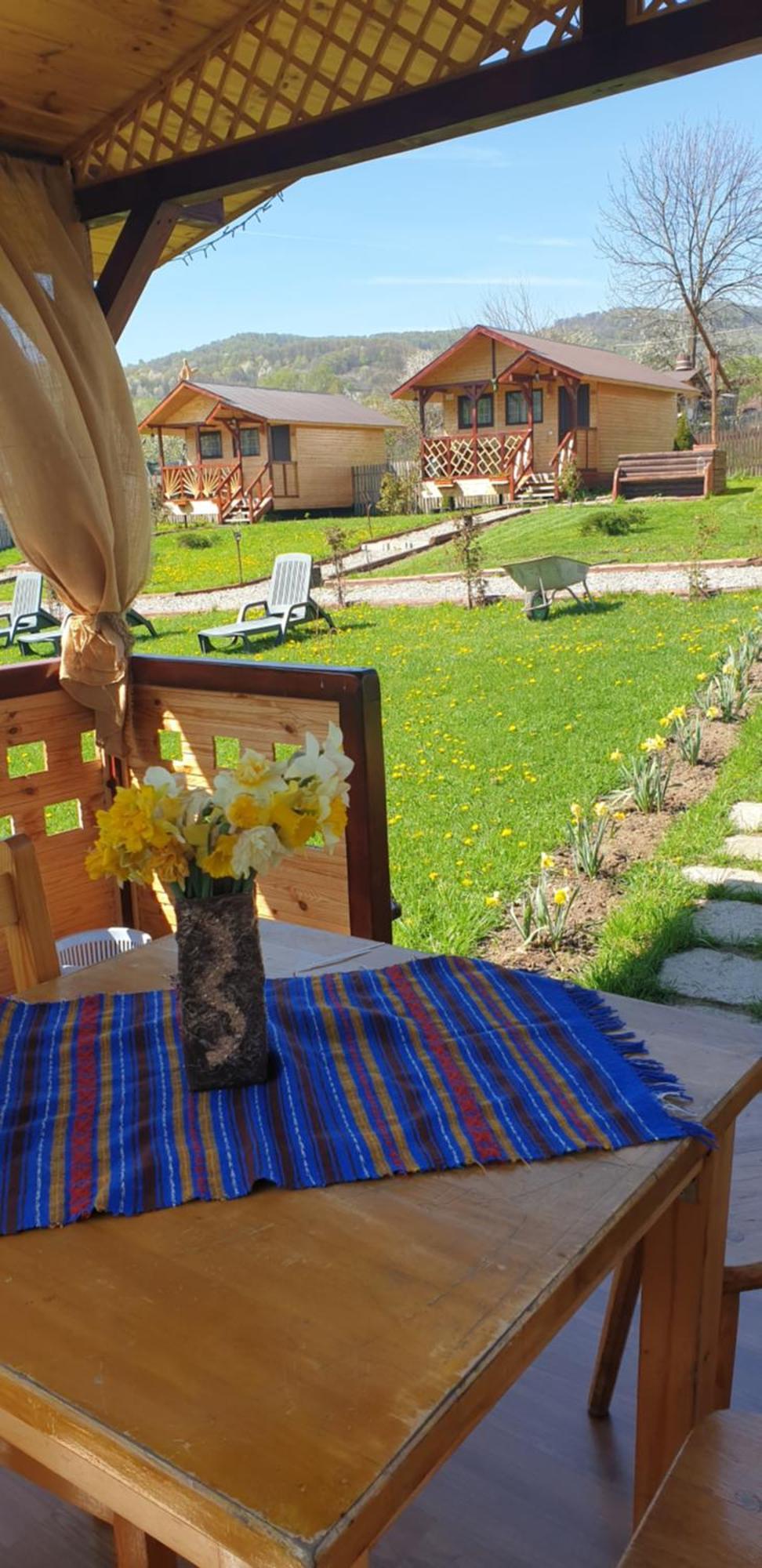 Baltina Parc Transfagarasan Vila Curtea de Argeş Exterior foto