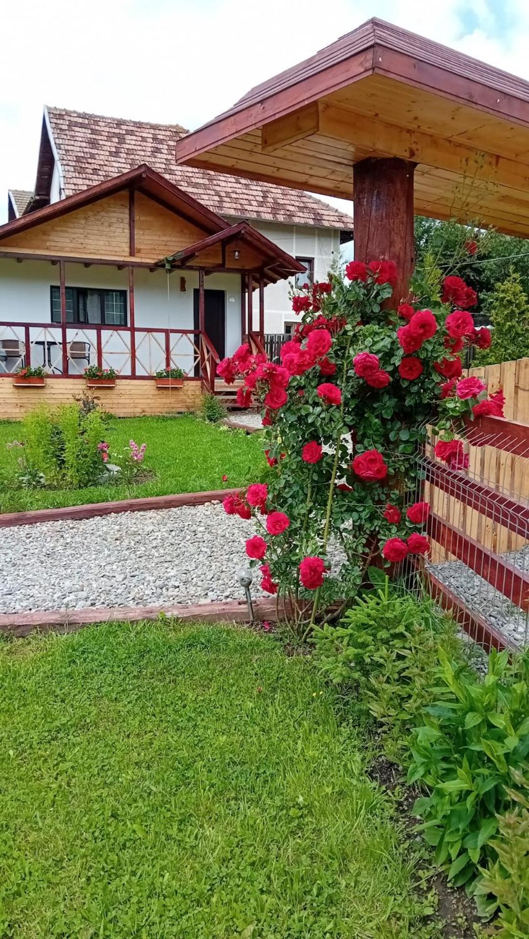 Baltina Parc Transfagarasan Vila Curtea de Argeş Exterior foto