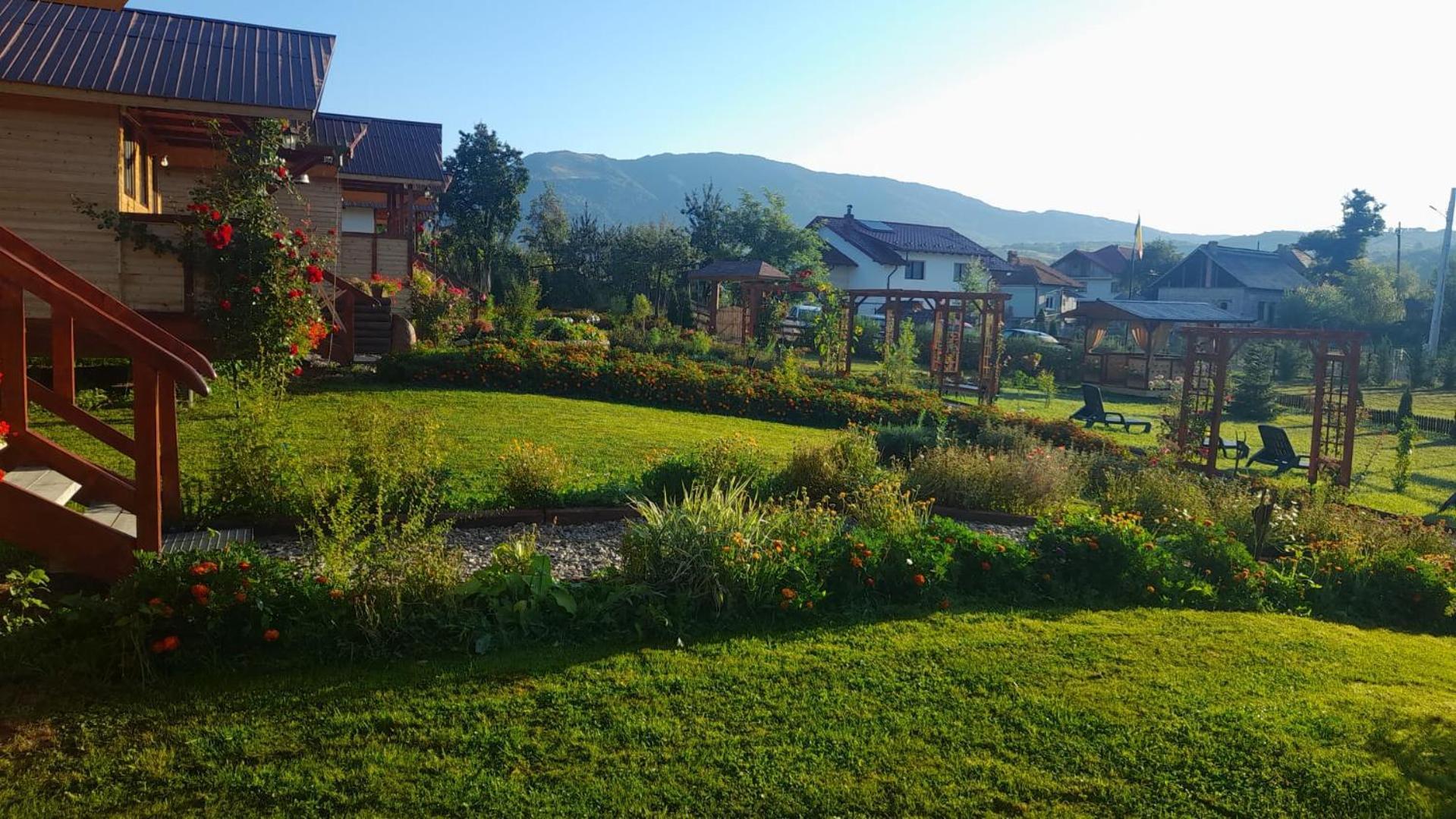 Baltina Parc Transfagarasan Vila Curtea de Argeş Exterior foto