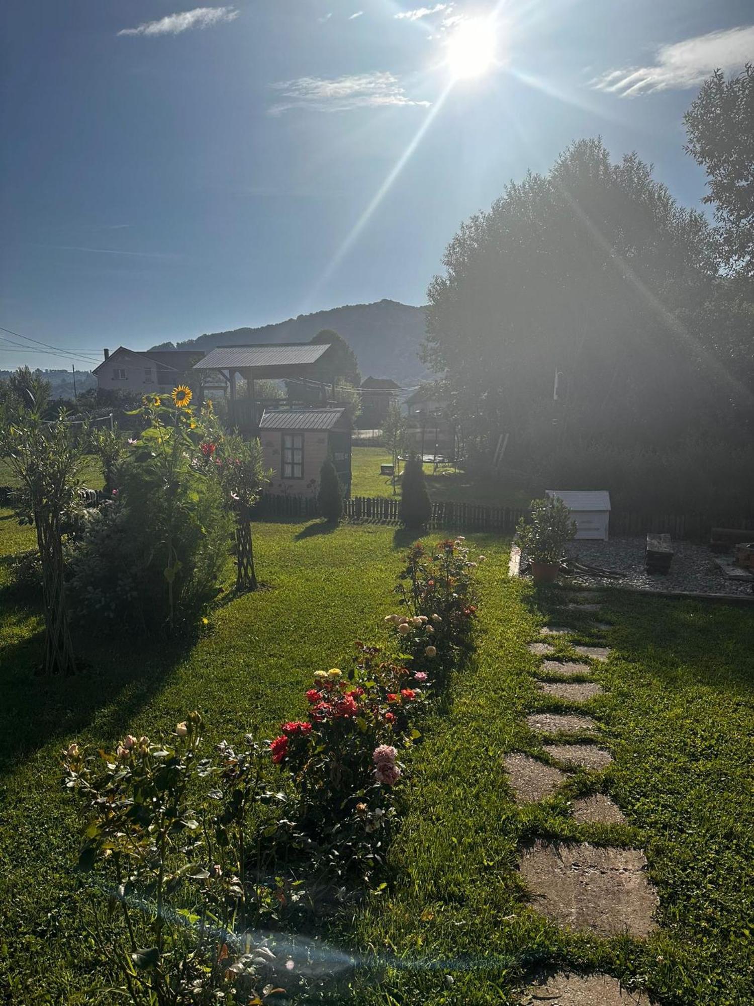 Baltina Parc Transfagarasan Vila Curtea de Argeş Exterior foto